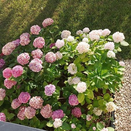 La Casa Di Francesca B&B Con Parcheggio Privato Porto Cesareo Luaran gambar