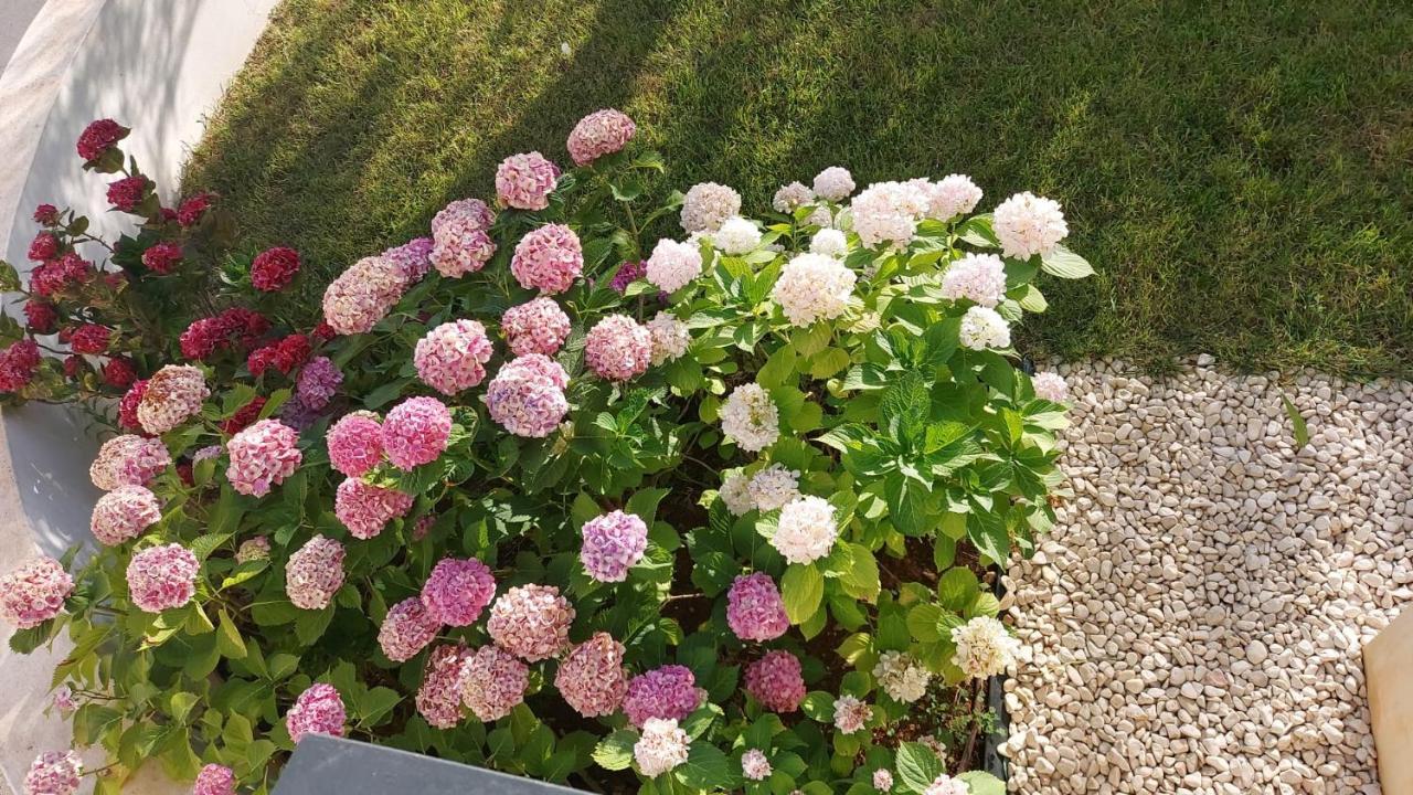 La Casa Di Francesca B&B Con Parcheggio Privato Porto Cesareo Luaran gambar